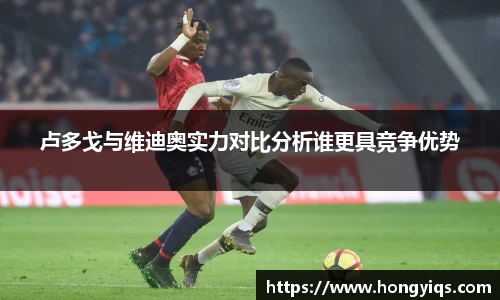 卢多戈与维迪奥实力对比分析谁更具竞争优势